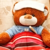 300px-look-after-a-sick-teddy-bear-intro.jpg